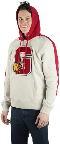 Vista 2 de Bioworld Harry Potter Gryffindor Chenille Patch Hooded Sweatshirt