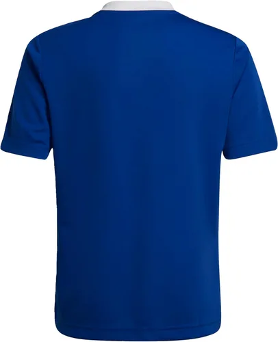 Vista 8 de adidas Camiseta Entrada 22 para niños