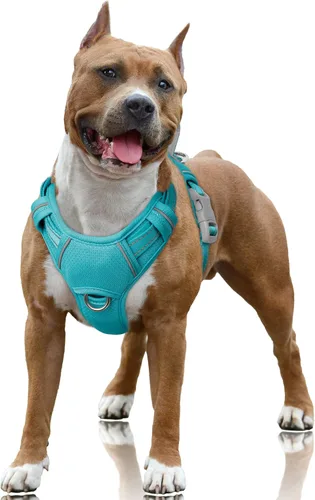 Vista 10 de BARKBAY Arnés para Perro Sin Tirones Talla Grande Arnés Reflectante para Perro con Clip Frontal y Asa de Control Fácil para Caminar Entrenar Correr