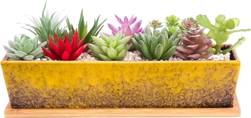Vista 7 de ARTKETTY Macetas de suculentas - Macetas grandes para suculentas con drenaje, maceta de bonsái rectangular larga de 12 pulgadas con bandeja