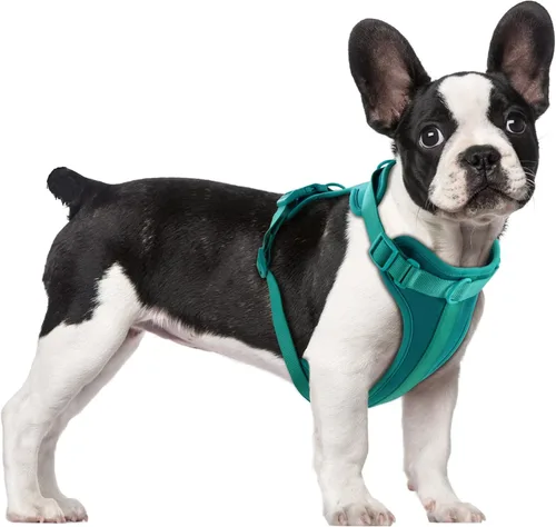 Vista 27 de Wisedog Arnés Ligero Sin Tirones para Perro: Arnés de Chaleco de Malla Transpirable Ajustable para Mascotas con Cojín Suave y Cómodo, para Perros