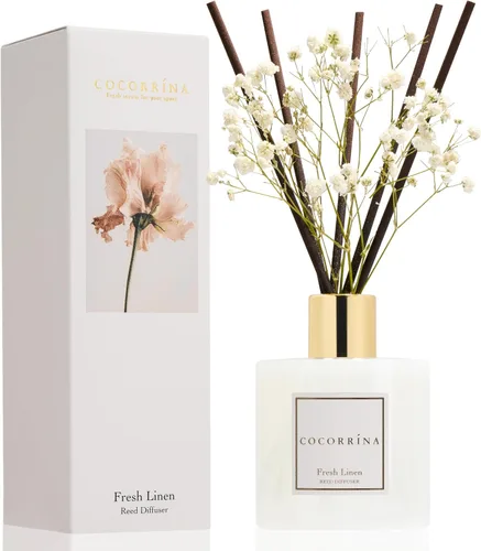 Vista 61 de Difusor de Varillas Cocorrína - Difusor Aromatizante con Aroma de Arroyo de Bambú con 8 Varillas, Difusor de Fragancia para Hogar, Decoración