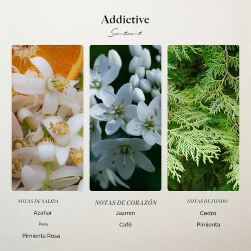 Vista 3 de Scentiment - Addictive Eau De Parfum - Fragancia inspirada en el diseñador para mujer – 1.69 fl oz (1.7 fl oz)