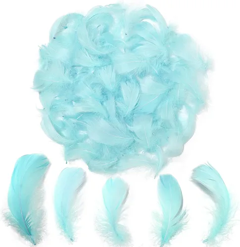 Vista 12 de 300 piezas de plumas negras de 2-3 pulgadas, plumas a granel para manualidades, accesorios para atrapasueños, proyectos de arte, manualidades DIY