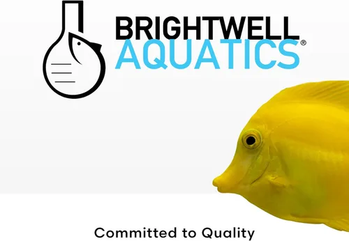 Vista 7 de Brightwell Aquatics - Purit Medios de filtración química de última generación - para uso en todos los acuarios marinos y de agua dulce