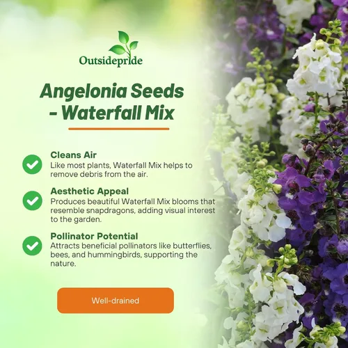 Vista 3 de Outsidepride Serena Waterfall Mix Angelonia Snapdragon Seeds para plantar, 15 piezas de semillas de flores perennes, aptas para polinizadores