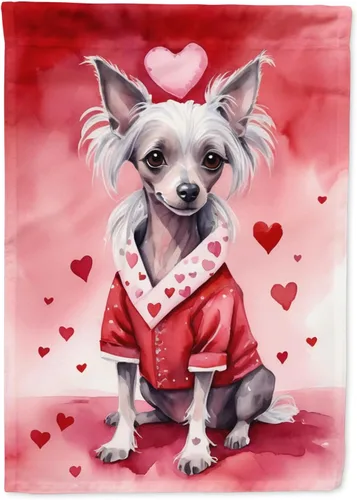 Vista 188 de Caroline's Treasures DAC5252GF Affenpinscher - Bandera de jardín con texto en inglés "My Valentine", bandera decorativa para patio exterior, patio