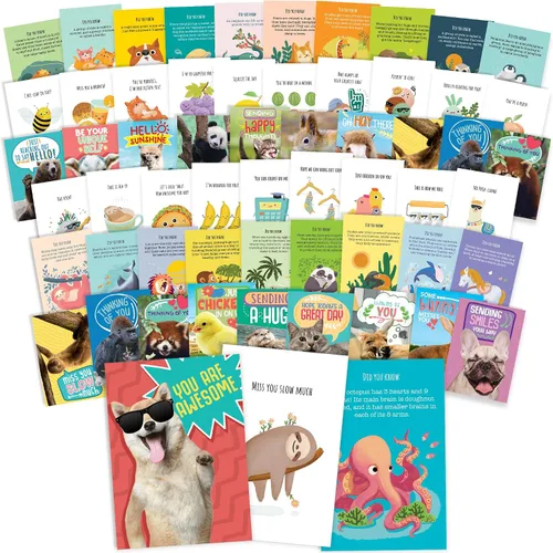 Vista 7 de T MARIE 40 postales divertidas de animales – Paquete de postales a granel Thinking of You para niños, estudiantes, amigos, profesores y más – Di