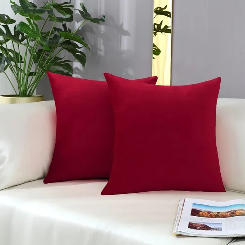 Vista 14 de mixeoo Comfy - Juego de 2 fundas de almohada decorativas de terciopelo grueso sólido y grueso, súper suaves, decoración del hogar para sofá, sala
