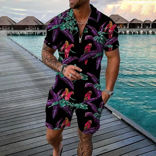 Vista 2 de Conjunto deportivo de 2 piezas para hombre, camiseta polo y pantalón corto, con cremallera de un cuarto, casual, elegante, grande y alto
