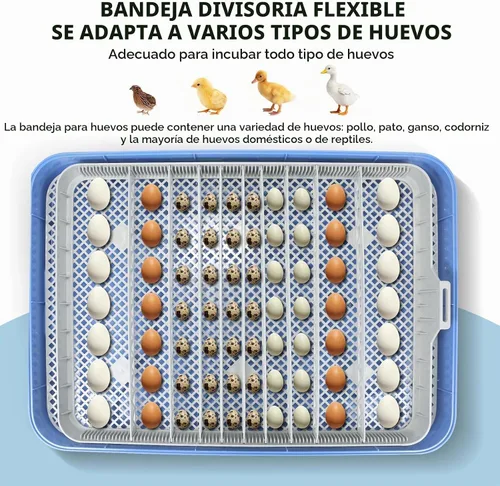 Vista 5 de Serie IV - Incubadora de 70 huevos para criadores, humedad precisa basada en sensores + control de temperatura, separador de pollitos, espaciado