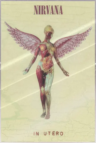 Vista 9 de Nirvana - Póster musical (In Utero - Portada del álbum) (Tamaño: 24" x 36")