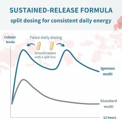 Vista 5 de Igennus Multivitamínico metilado para mujeres de 50 años, calcio y magnesio para apoyo óseo, liberación sostenida y vitaminas B activas, fórmula sin