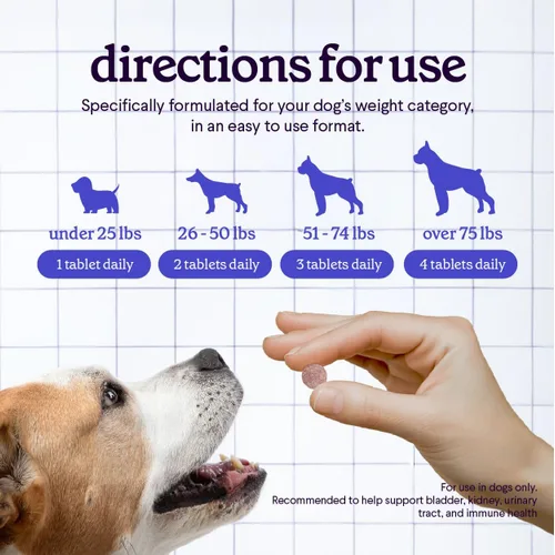 Vista 5 de Suplemento de arándano para perros UTI - Masticables del tracto urinario