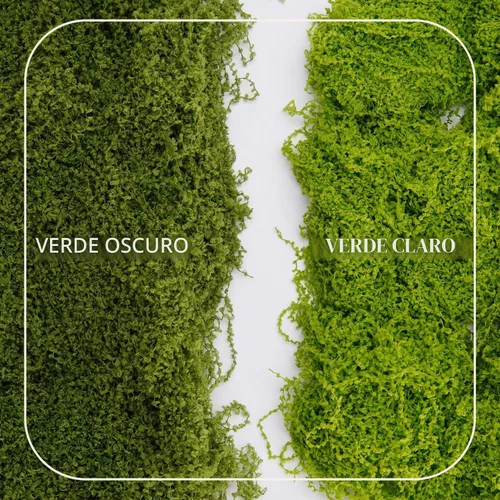 Vista 2 de USMOLA Musgo falso de 3.5 onzas para plantas de interior, musgo artificial para centros de mesa, jardines de hadas, terrarios, césped sintético