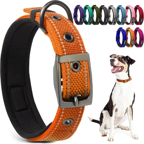 Vista 19 de PetiFine Collares para perros pequeños, collar acolchado de neopreno, collares reflectantes resistentes para mascotas con hebilla de cinturón