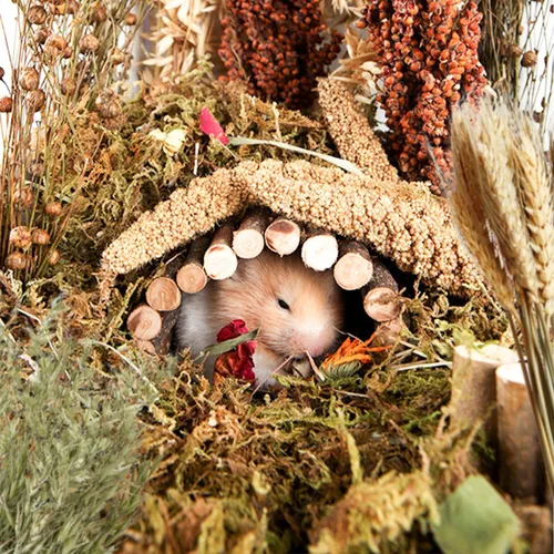 Vista 4 de Almohada Natural de Espiga y Hierbas para Hámsteres, Jerbos y Lemmings, con Decoración Divertida Viento