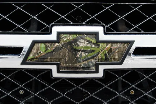 Vista 26 de Mossy Oak Graphics 14010-BI Break-Up Infinity Piel de emblema de auto, Blaze