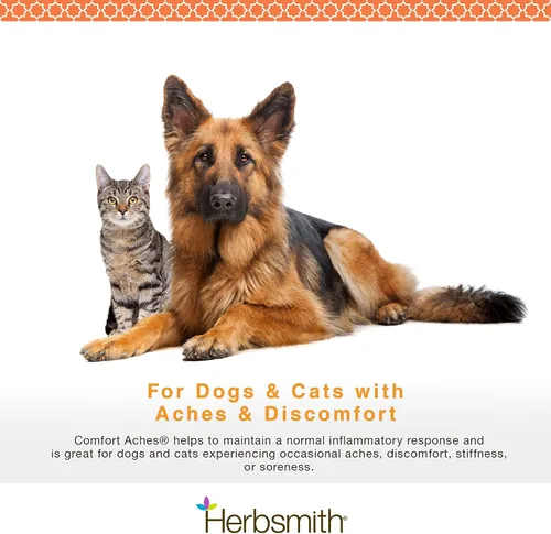 Vista 5 de Herbsmith Dolores de confort – Alivio del dolor a base de hierbas para perros + gatos – para dolores de mascotas + dolores – Suplemento