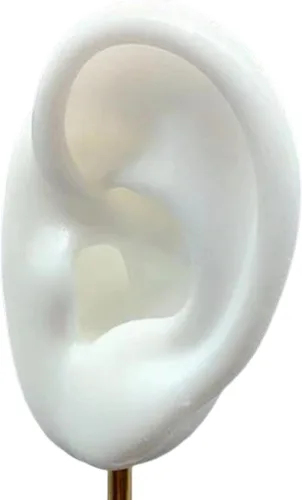 Vista 5 de Colaxi 2 soportes de exhibición de pendientes duraderos de silicona suave modelo de oreja humana