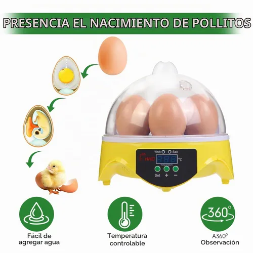 Vista 4 de 360° View Incubadora de aves de corral de 7 huevos para incubar huevos de pollo, pato, ganso, loro y codorniz, con control de temperatura