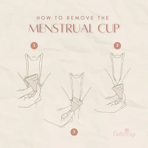 Vista 6 de Paquete doble, copa menstrual, kit completo (más de 30 años)..