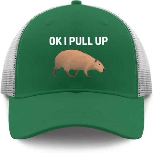 Vista 9 de devor Baseball Caps Ok I Pull Up Dad Hat, Graphic Dad Hat for Women