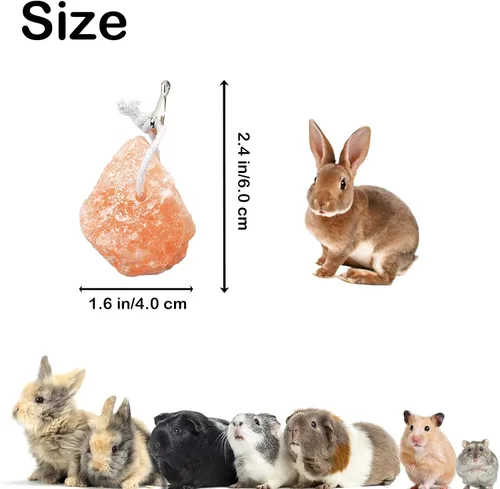 Vista 3 de PINVNBY Bloques de sal para conejos, 4 piezas de mascotas pequeñas del Himalaya lamen sal bloque de sal sales minerales naturales con gancho