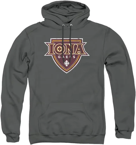 Vista 111 de Distressed College Primary Logo Adult Pullover Hoodie Collection 1 Universidad Estatal de Albany