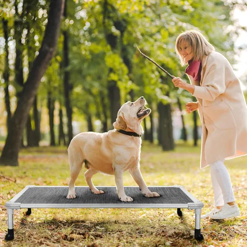 Vista 61 de Veehoo Cama elevada para perros a prueba de mordidas - Cuna elevada refrescante para mascotas - Marco de aluminio plateado y tela de malla