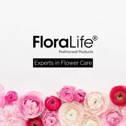 Vista 11 de Floralife Crystal Clear. Alimento en polvo para flores cortadas. Paquete de 10 onzas.