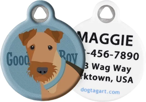 Vista 2 de Good Boy Airedale - Etiqueta de identificación personalizada para mascotas para perros y gatos, tamaño grande Airedale Good Boy