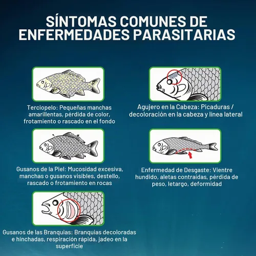 Vista 4 de Fritz Aquatics ParaCleanse proporciona un alivio rápido de enfermedades parasitarias (20 unidades)