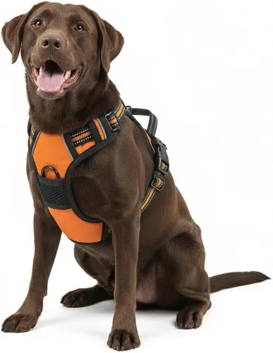Vista 8 de Arnés para perro sin tirones, arnés reflectante cómodo ajustable con mango de fácil control delantero y trasero, acolchado suave para mascotas