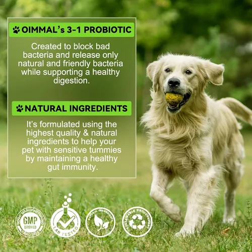 Vista 6 de Probióticos para perros, probióticos 3 en 1 para perros, probióticos para perros para apoyo digestivo, suplementos probióticos para perros