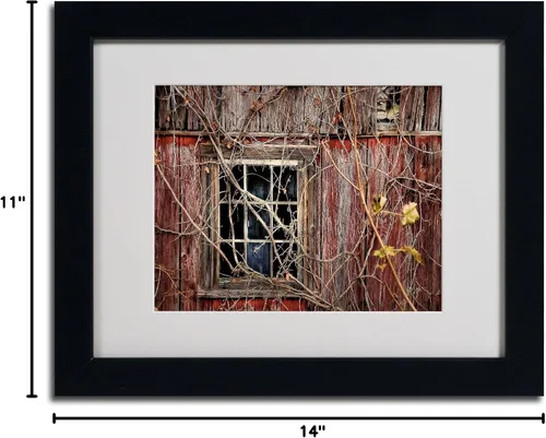 Vista 6 de Trademark Fine Art Lois Bryan - Arte enmarcado con marco negro, 11 x 14 pulgadas
