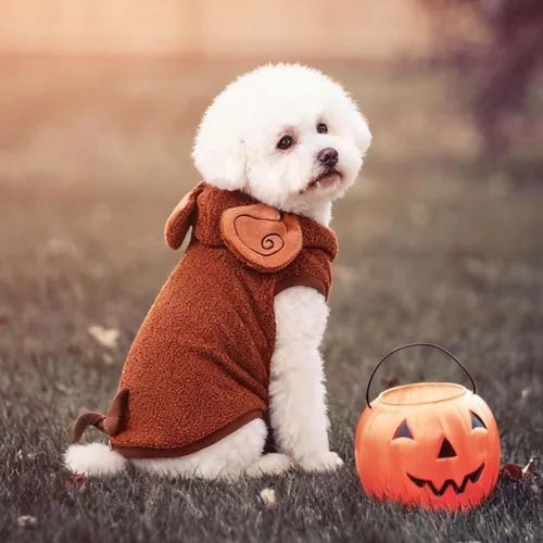 Vista 4 de FLAdorepet Disfraz de mono de Halloween para perro pequeño y grande, S