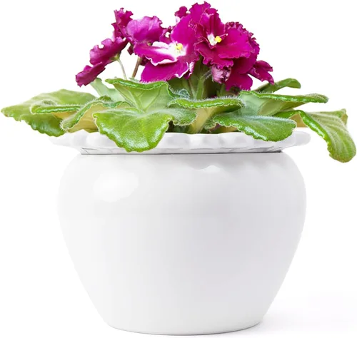 Vista 7 de Maceta para Flores Violeta Africana Verde de Cerámica con Riego Automático 6.5 * 4.6 * 4 pulgadas Maceta Simple para Plantas con Riego Automático