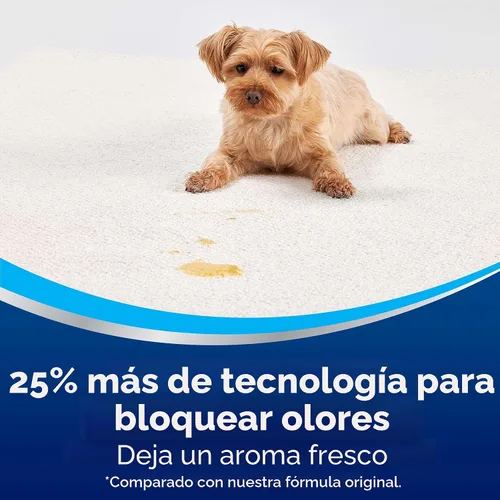 Vista 4 de BISSELL Woolite Advantage - Limpiador de alfombras y tapicería, paquete de 4, 3325