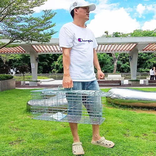 Vista 6 de Trampa plegable y colapsable para animales vivos de PULOMI. Kit de captura sin matar para atrapar y liberar roedores, conejos, gatos callejeros