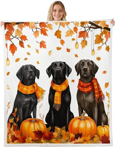 Vista 22 de Manfei Hello Fall Throw Blanket Pumpkin Maple Leaf Plaid Patchwork Fleece Blanket Autumn Theme Cozy Throws for Bed Couch Sofa,Kids Boys Girls Room