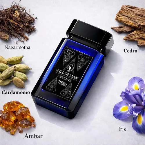 Vista 4 de French Factor Will of Man Absolute Eau de Parfum para hombre (3.4 onzas líquidas) Perfume Oriental Oud de alta calidad de larga duración Colonia