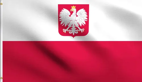 Vista 170 de DMSE - Bandera nacional beninesa beninesa de la República de África Occidental, 2 x 3 pies, 100 % poliéster, 100 % poliéster, resistente a los rayos