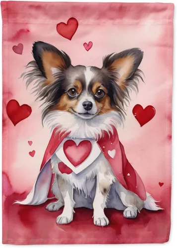 Vista 27 de Caroline's Treasures DAC5252GF Affenpinscher - Bandera de jardín con texto en inglés "My Valentine", bandera decorativa para patio exterior, patio
