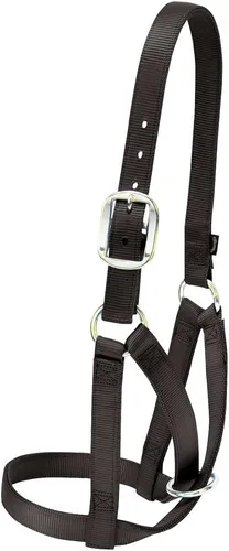 Vista 2 de Weaver Ganado granero hebilla de ganado Halter, ajustable, estilo moderno vaca ternera, equipo de manejo de ganado para mostrar, negro