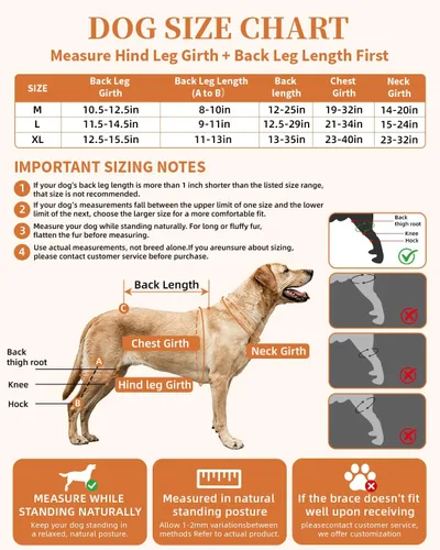 Vista 3 de Soporte ajustable para perro ACL pata trasera, ambas piernas mejoradas, tamaño L