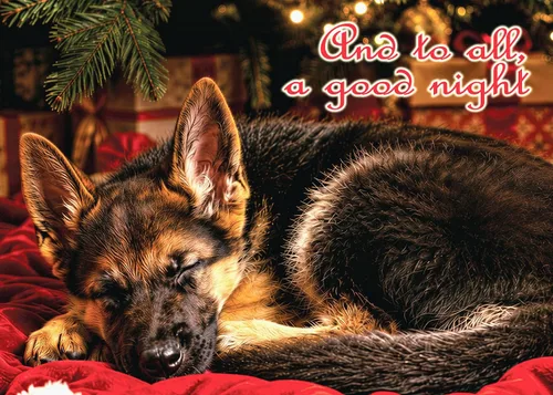Vista 14 de Glory To Dog And To All A Good Night Sleepy Beagle Puppy - Juego de 12 tarjetas y sobres de Navidad