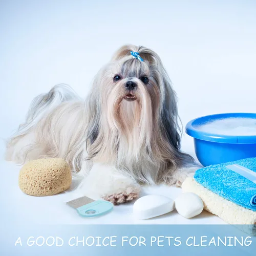 Vista 5 de 6 piezas para eliminar piojos en la cabeza, peine de pelo con lupa, herramienta de dientes de metal fino para perros, gatos, mascotas, aseo humano