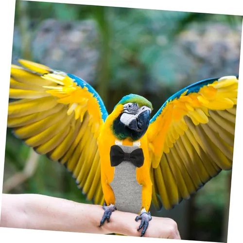 Vista 7 de iplusmile 5 unids Loro Pañal de pájaro traje de vuelo Paloma pañal cómodo pájaro ropa para loros