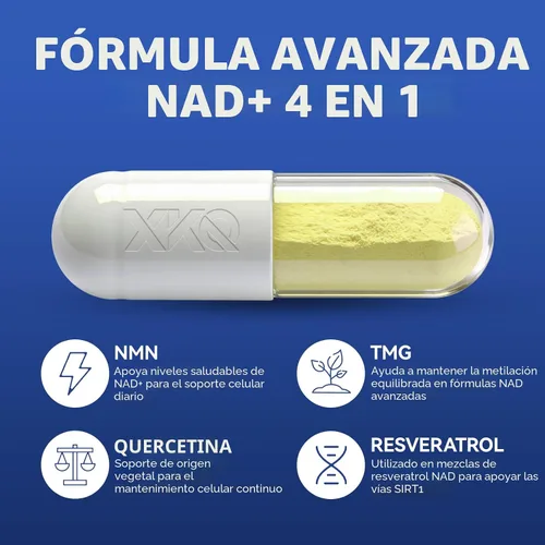 Vista 2 de XKQ Suplemento NAD+ de 910 mg, 60 porciones, toma 2 al día Ribosida de nicotinamida para un envejecimiento saludable, apoya la energía celular
